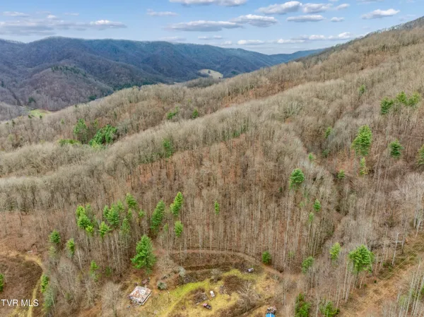 $50,000 | Tbd Tipton Branch Road, Flag Pond, TN 37657