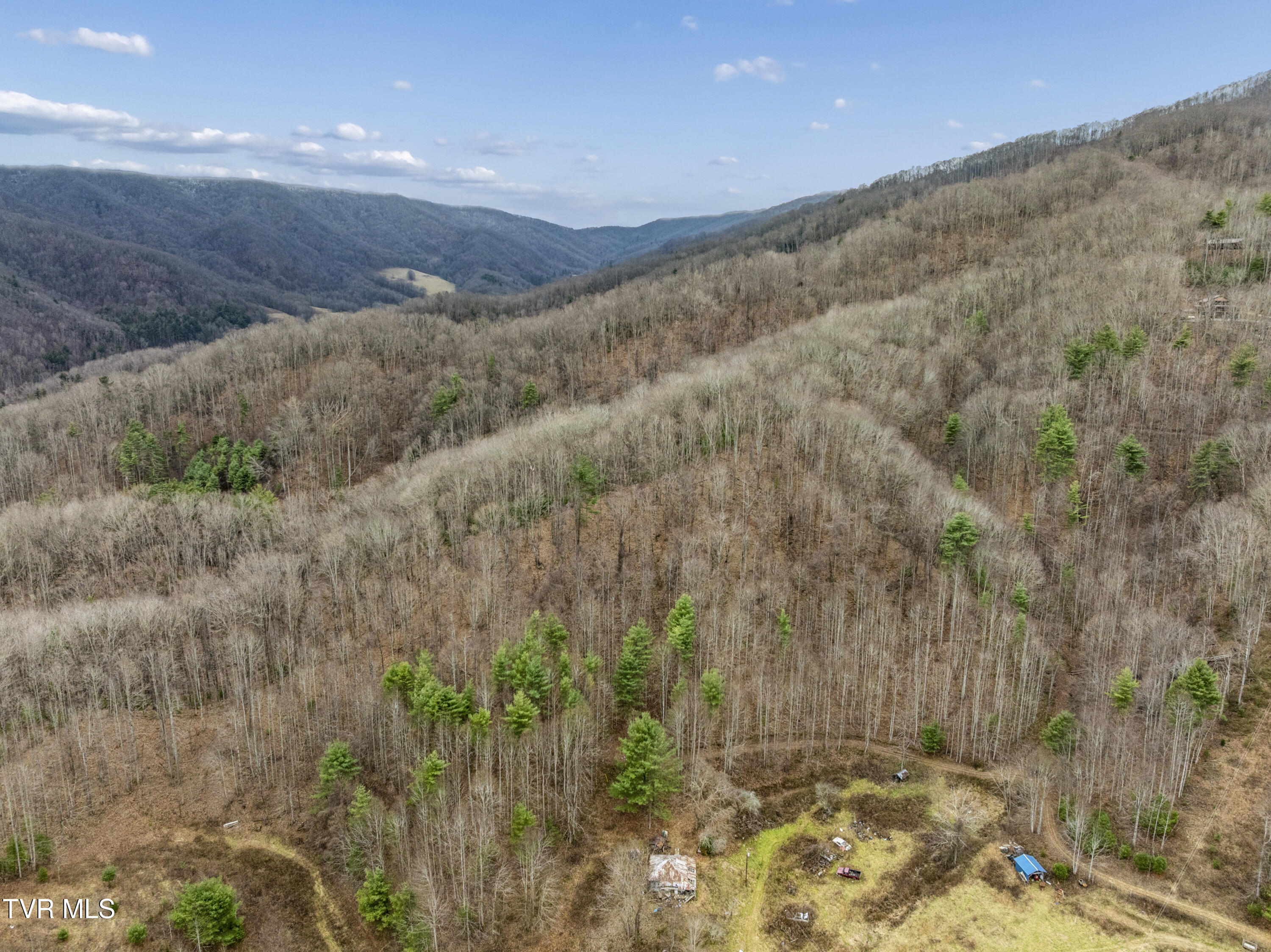 Tbd Tipton Branch Road Flag Pond, TN 37657 - Photo 10 of 13 TiptonBranch-22
