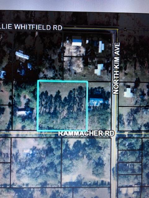 Tbd Rammacher Road Wewahitchka, FL 32465 - Photo 1 of 5