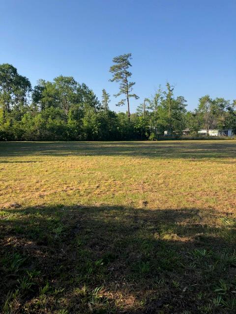 Tbd Rammacher Road Wewahitchka, FL 32465 - Photo 3 of 5