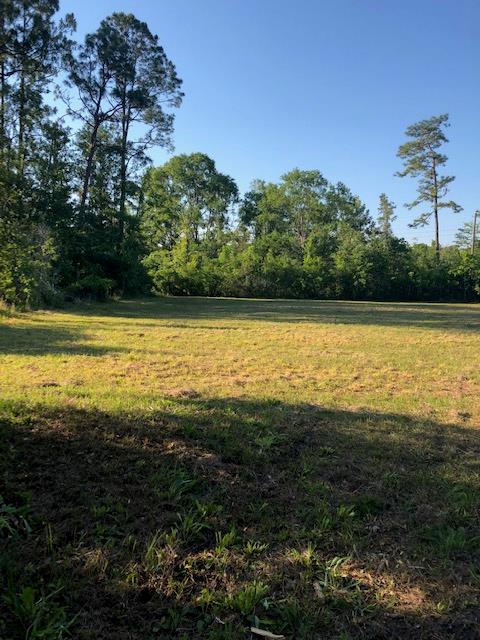 Tbd Rammacher Road Wewahitchka, FL 32465 - Photo 4 of 5