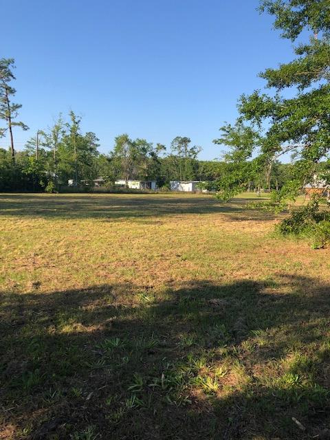 Tbd Rammacher Road Wewahitchka, FL 32465 - Photo 5 of 5