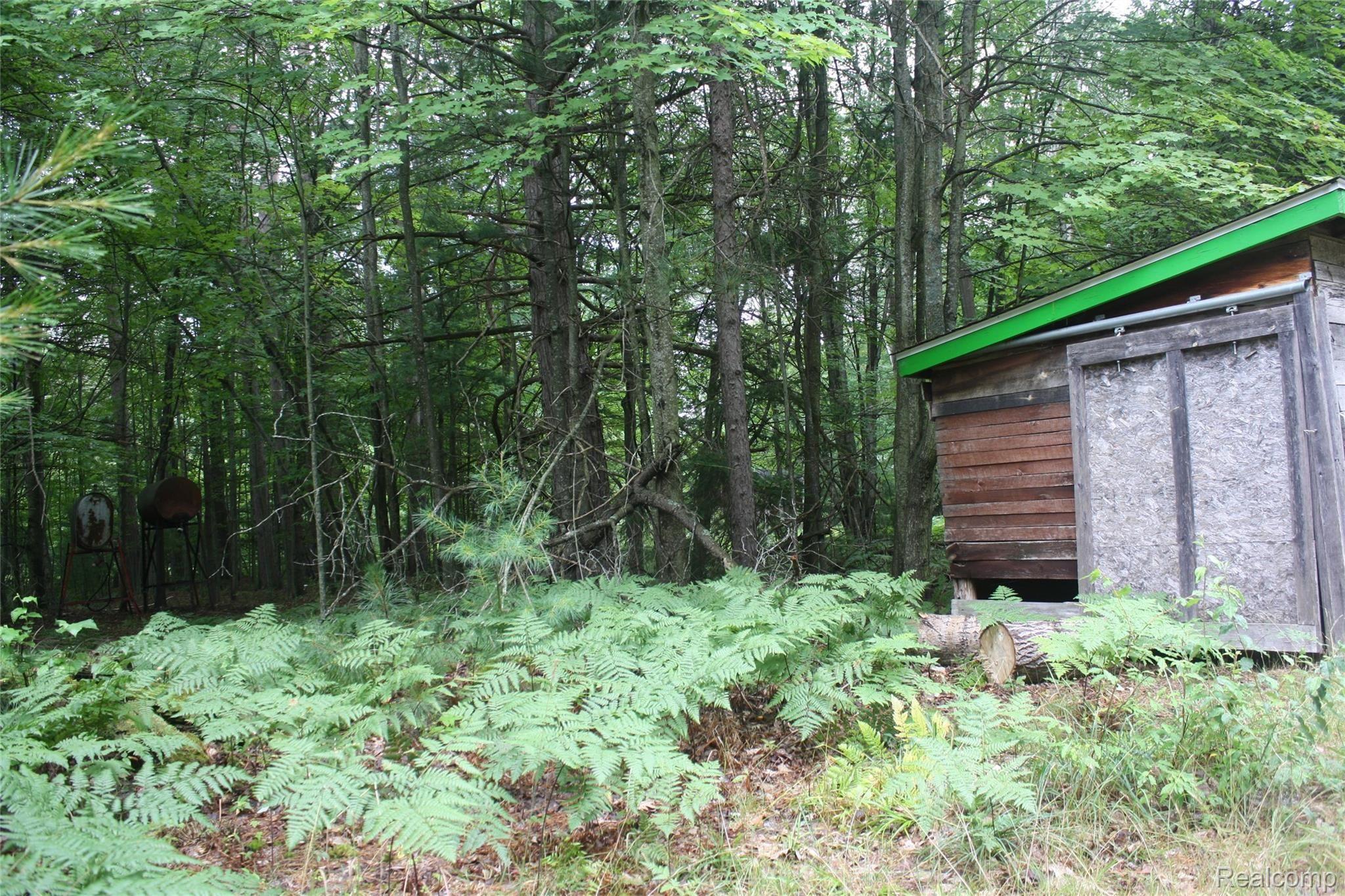 9424 Scott Road Hubbard Lake, MI 49747 - Photo 17 of 30 9424 scott rd wood shed.JPG