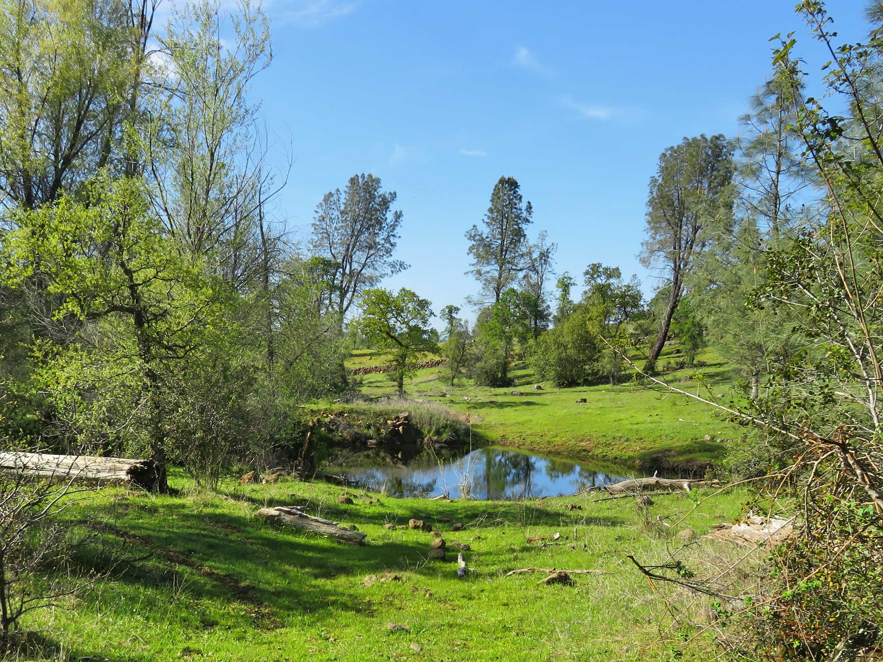 156-acres Wildcat Road Shingletown, CA 96088 - Photo 2 of 65 pond and rock wall