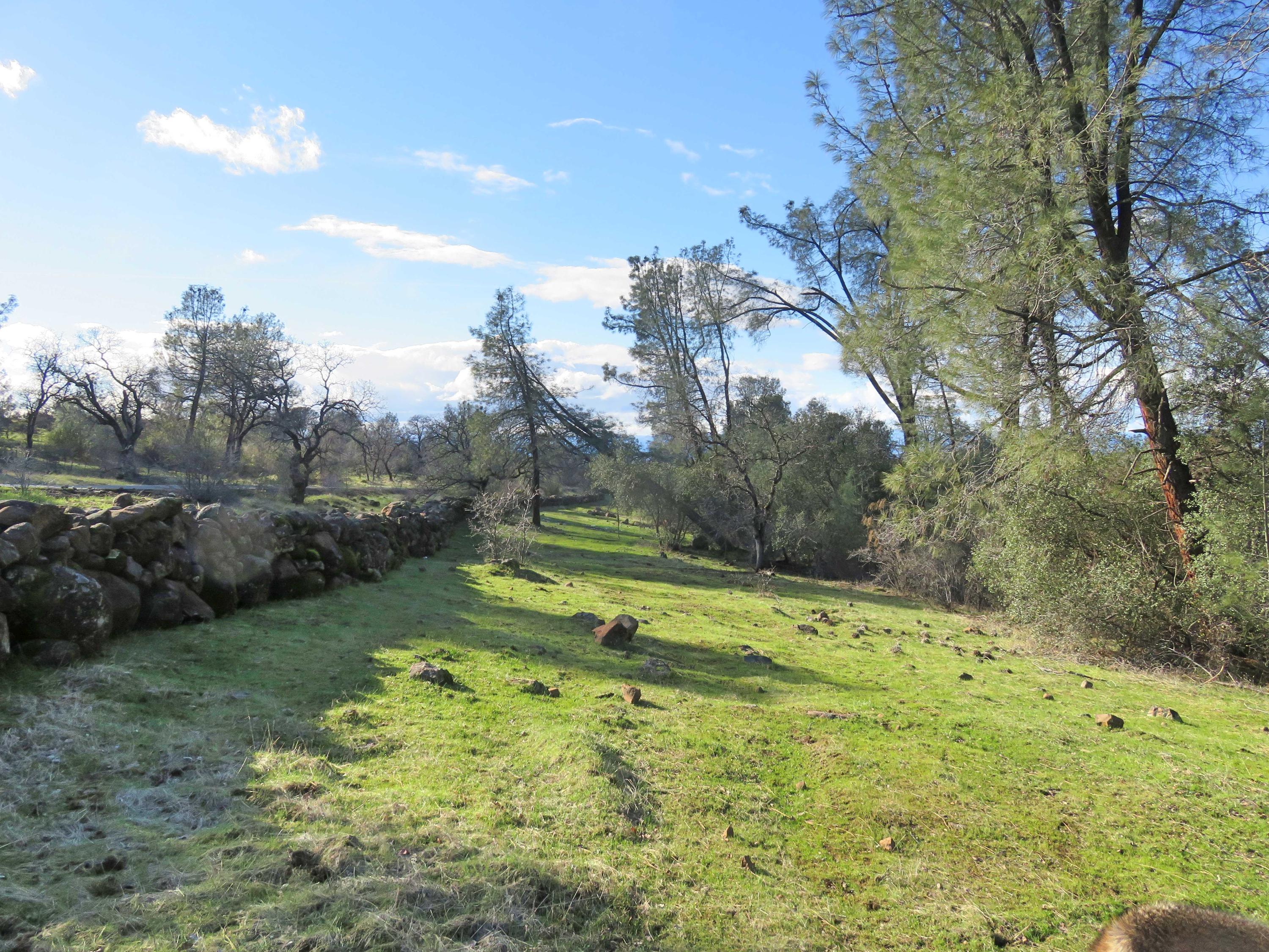 156-acres Wildcat Road Shingletown, CA 96088 - Photo 23 of 65 Between creek and road