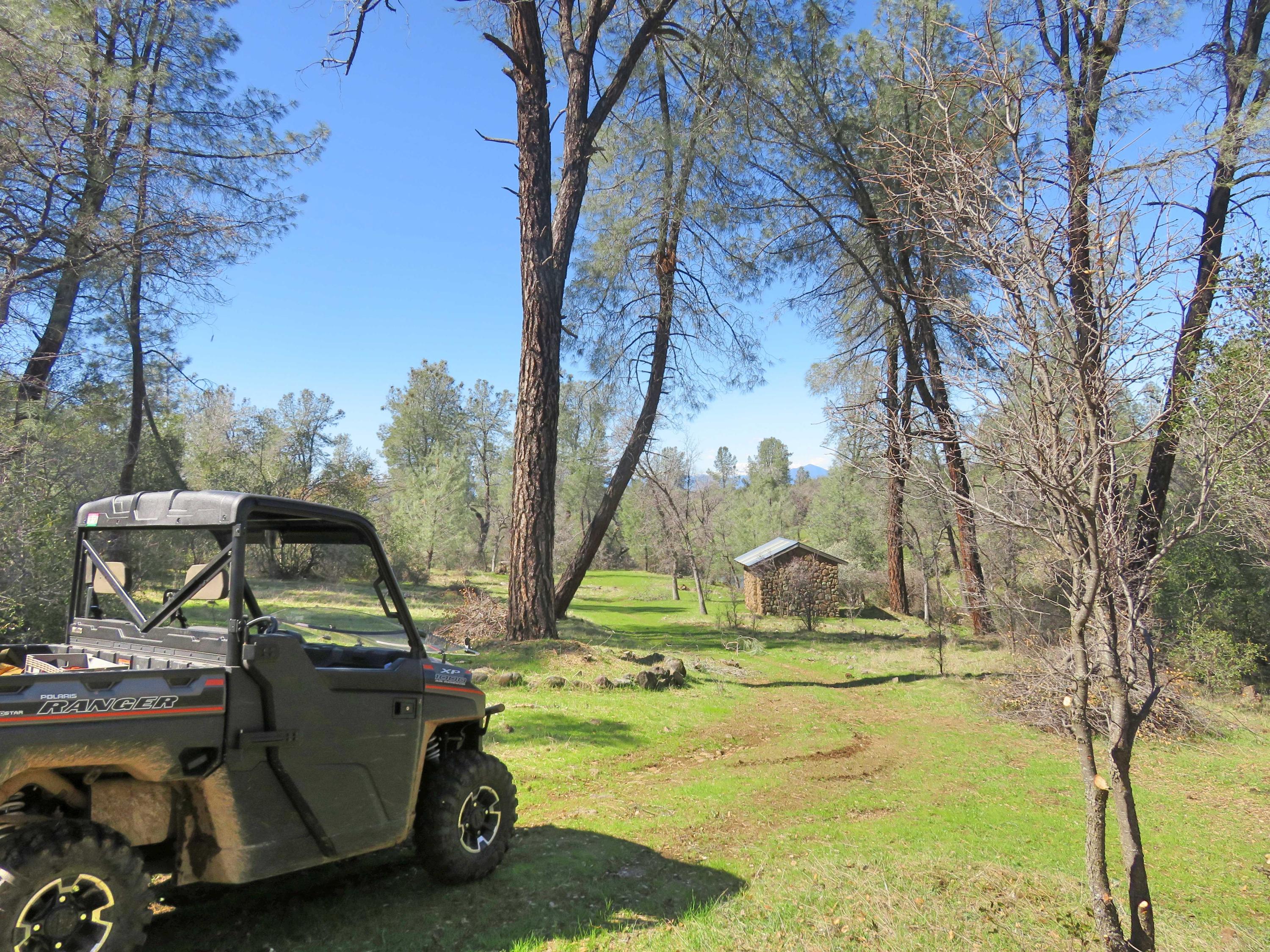 156-acres Wildcat Road Shingletown, CA 96088 - Photo 24 of 65 Meadow 2