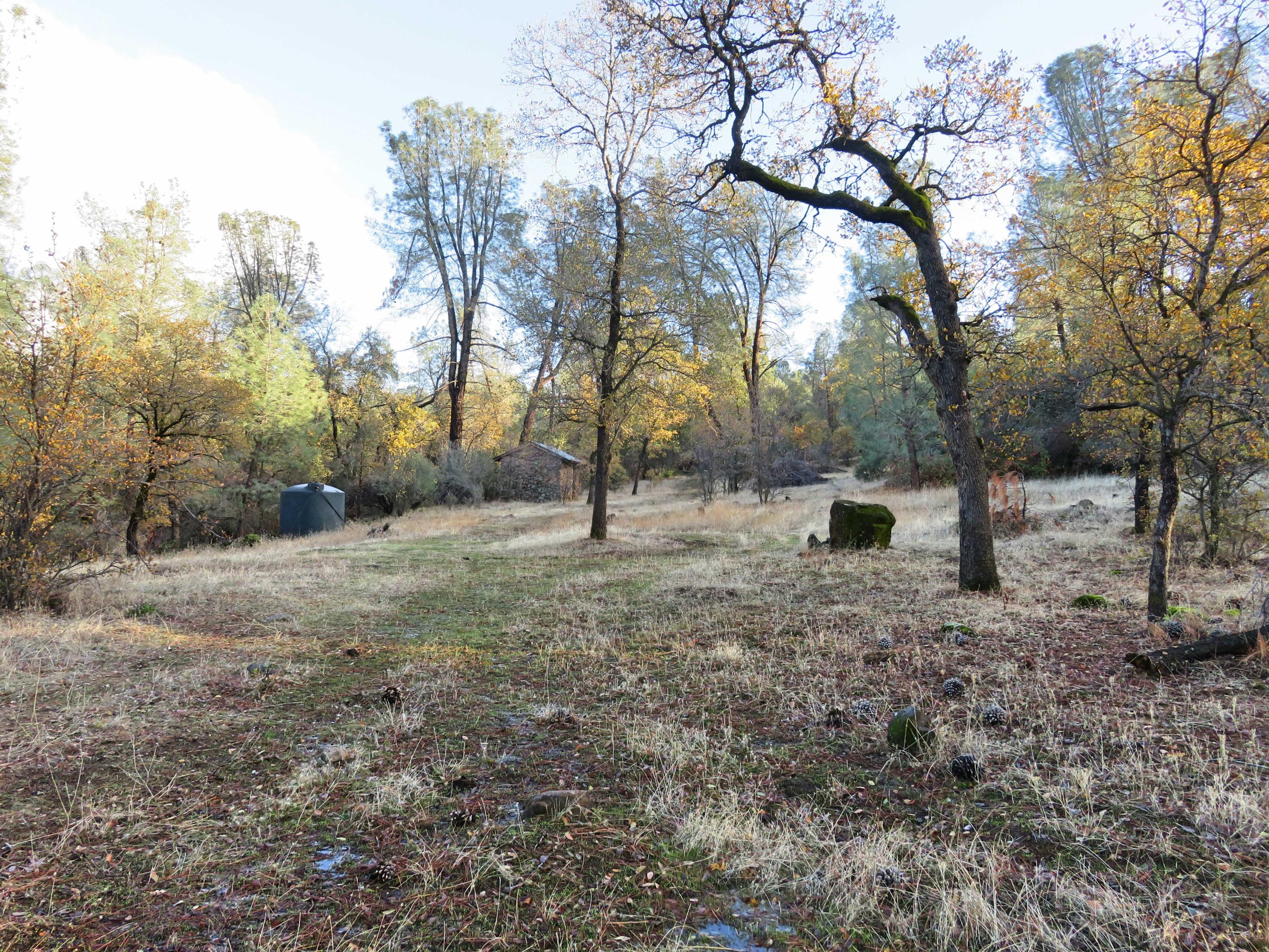 156-acres Wildcat Road Shingletown, CA 96088 - Photo 25 of 65 Meadow in winter