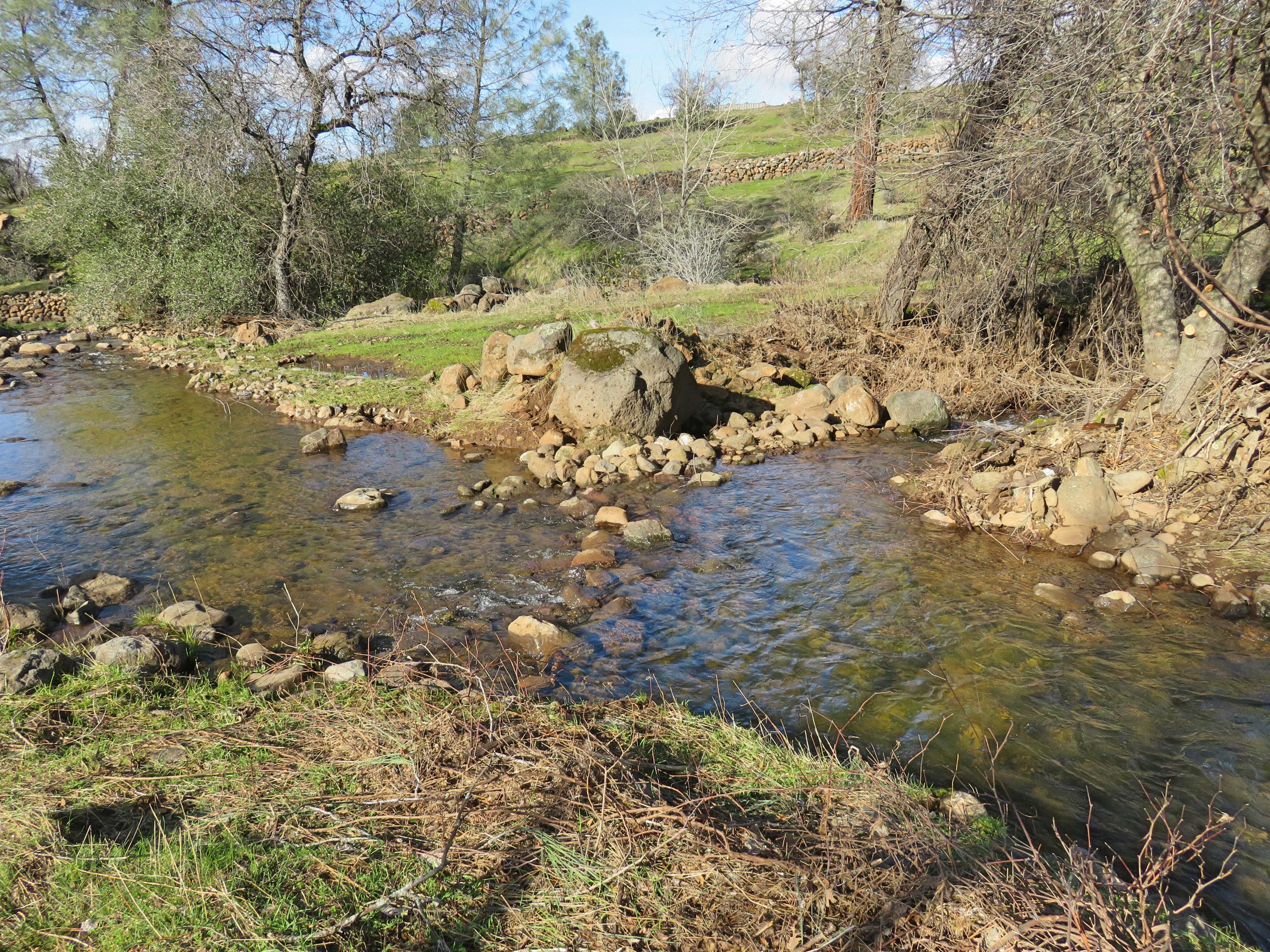 156-acres Wildcat Road Shingletown, CA 96088 - Photo 27 of 65 Seasonal creek