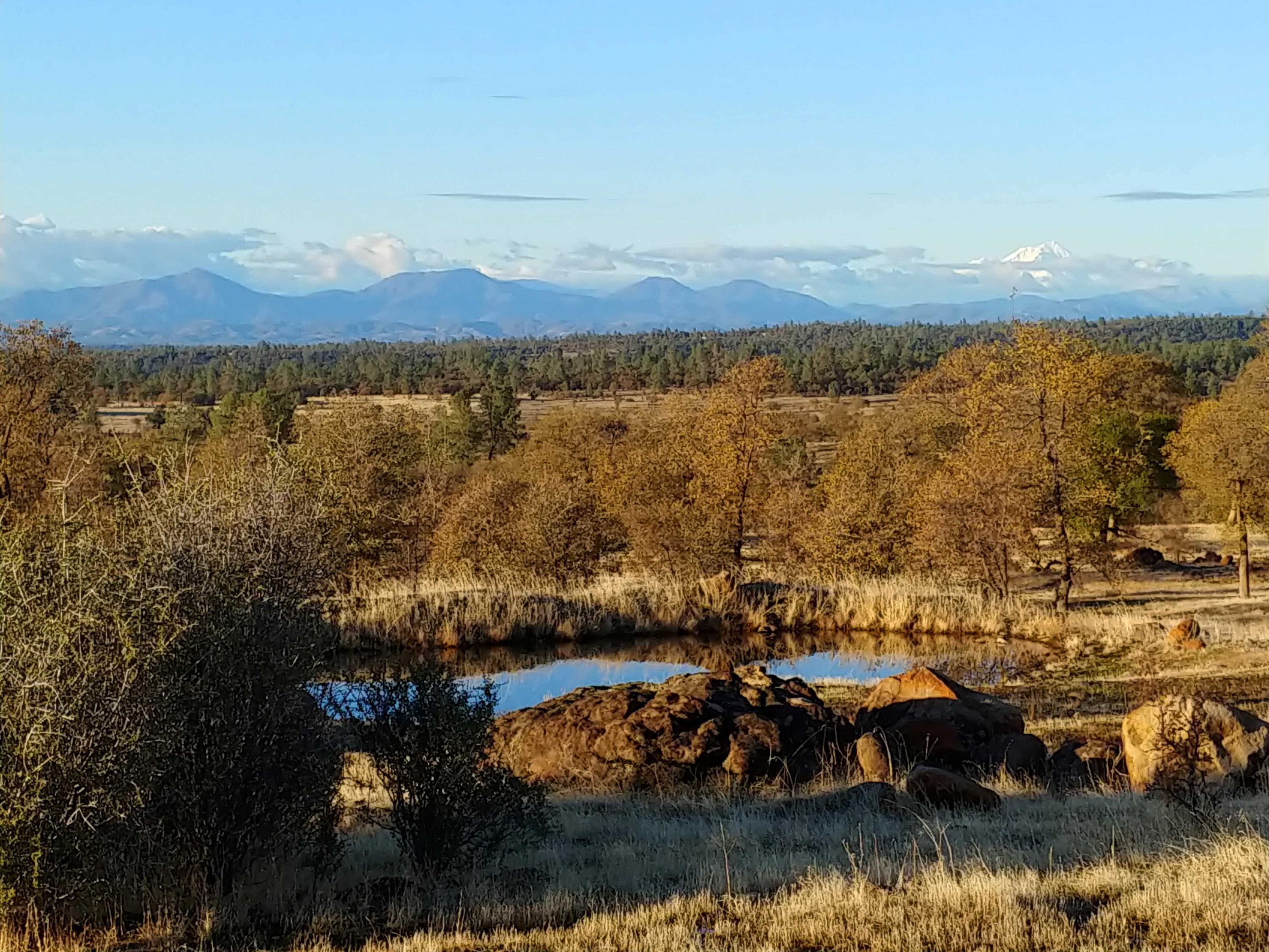156-acres Wildcat Road Shingletown, CA 96088 - Photo 33 of 65 Nice view