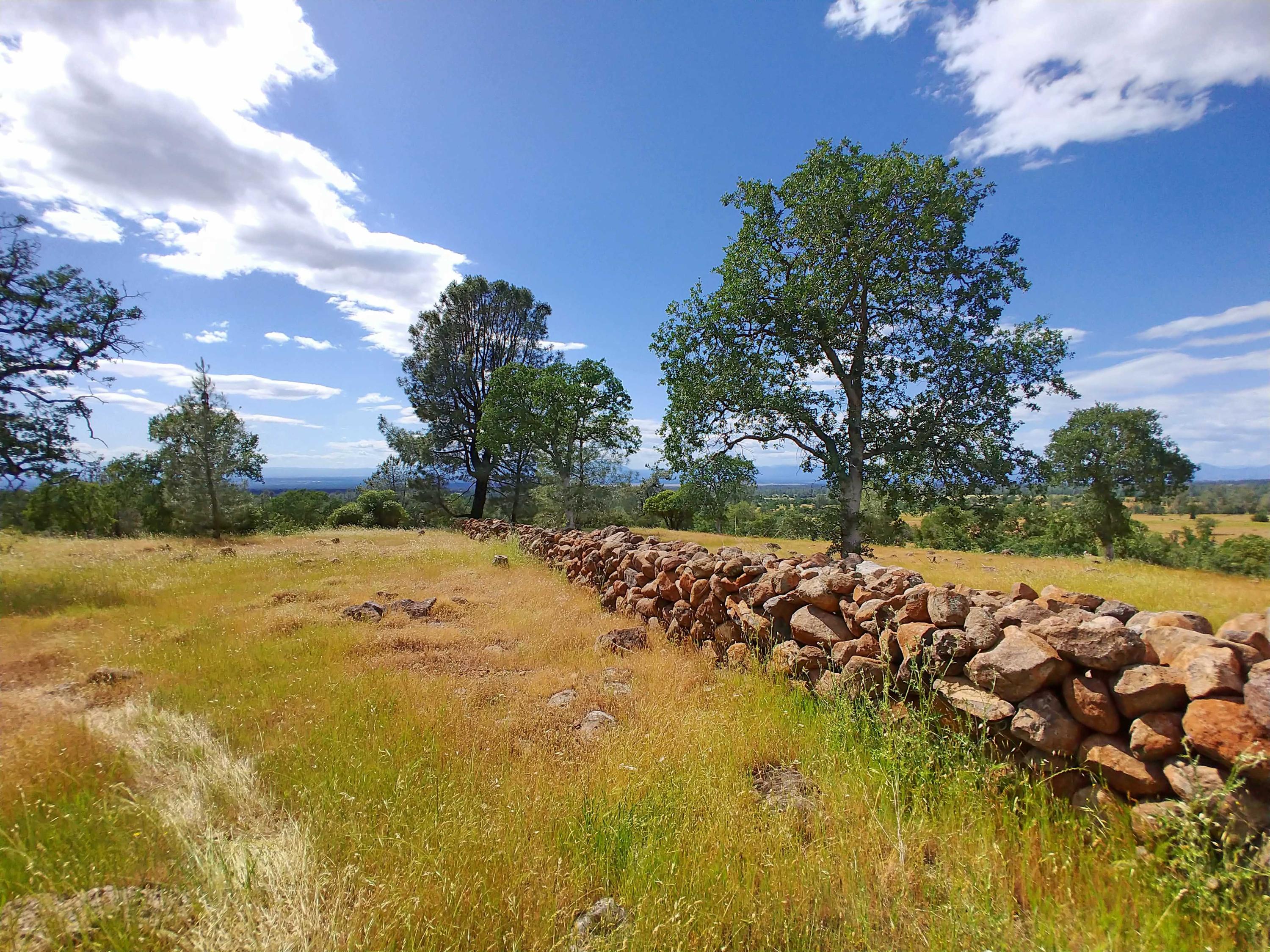 156-acres Wildcat Road Shingletown, CA 96088 - Photo 35 of 65 Northern border