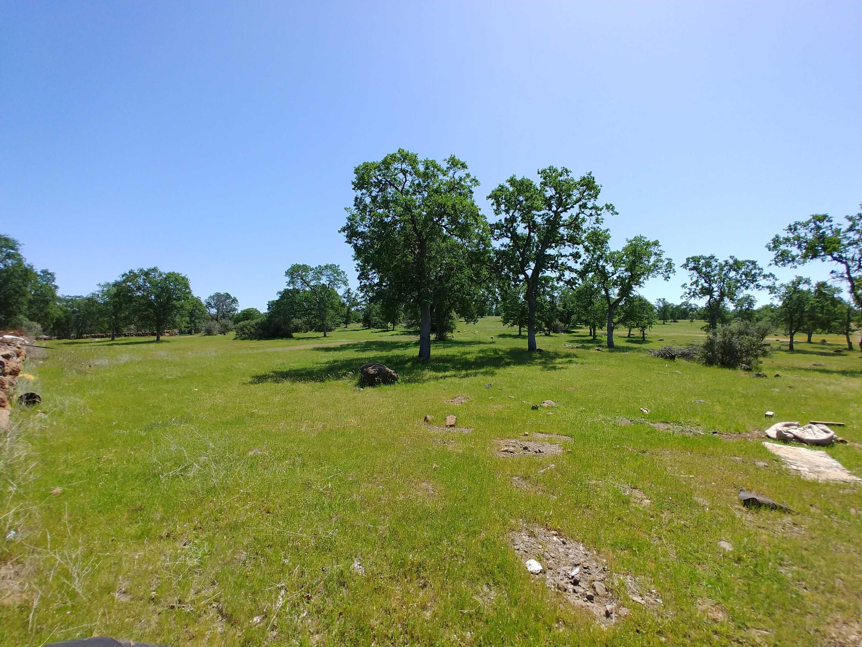 156-acres Wildcat Road Shingletown, CA 96088 - Photo 40 of 65 Northern terrain