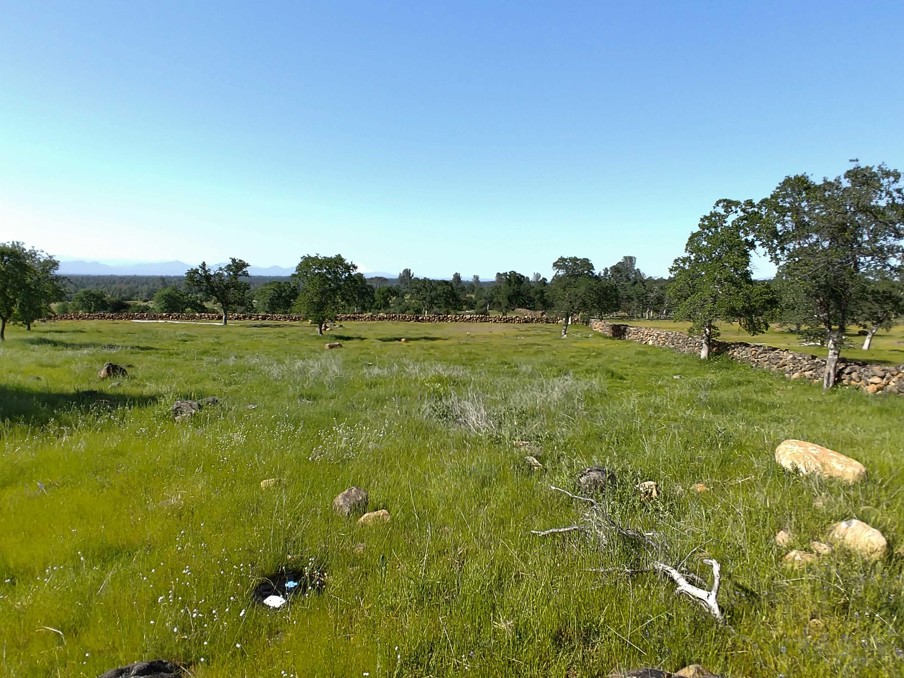 156-acres Wildcat Road Shingletown, CA 96088 - Photo 43 of 65 Northwest corner