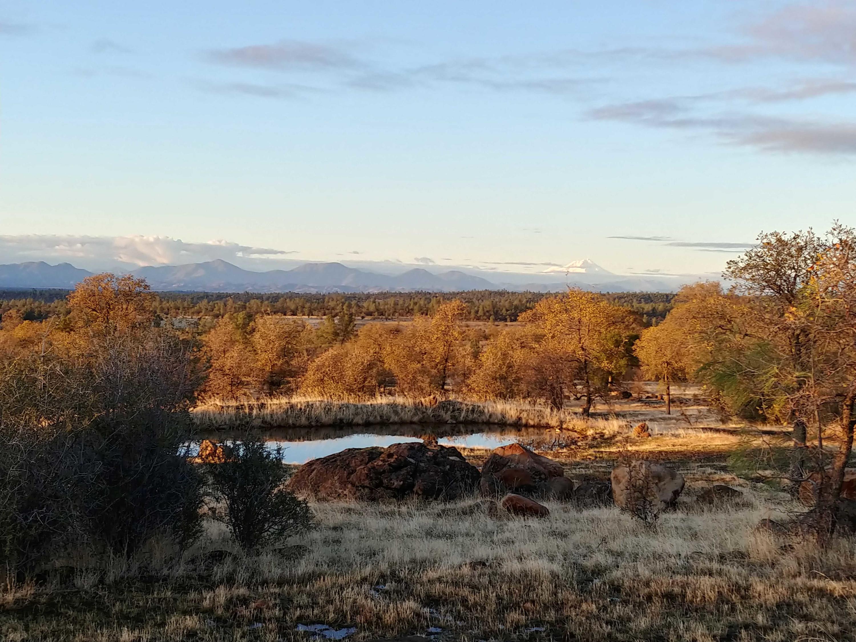 156-acres Wildcat Road Shingletown, CA 96088 - Photo 45 of 65 Pond and Mt Shasta view