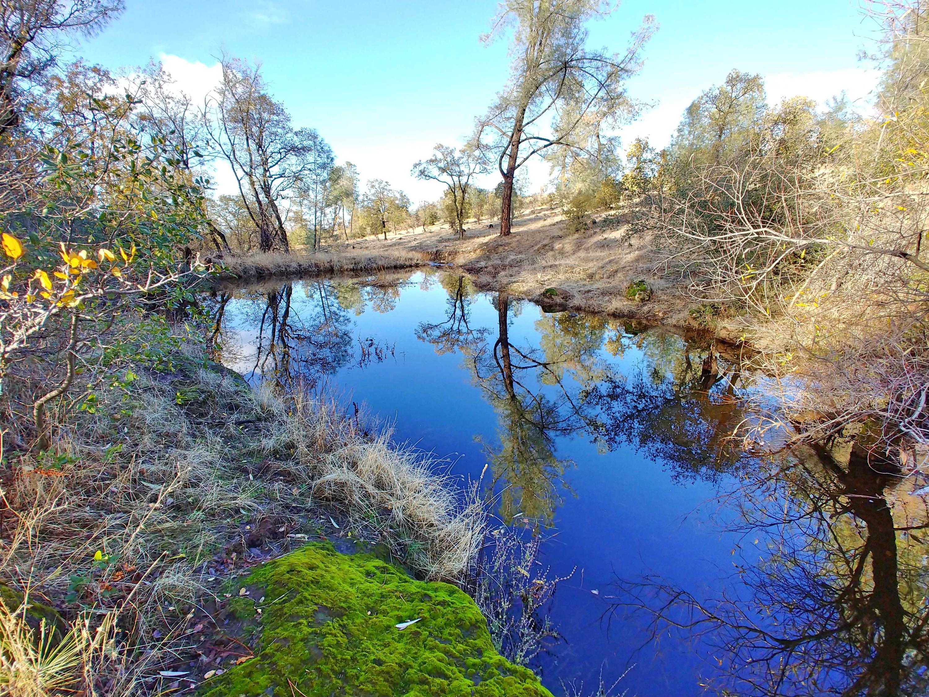 156-acres Wildcat Road Shingletown, CA 96088 - Photo 46 of 65 Pond near meadow