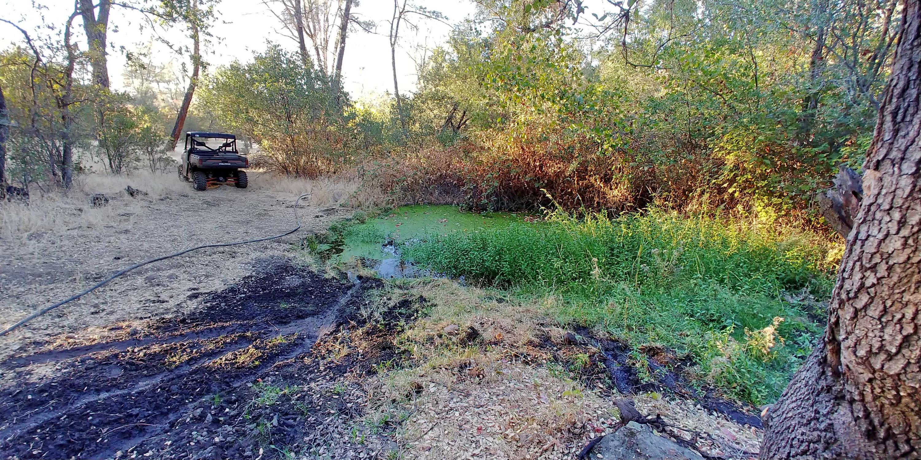 156-acres Wildcat Road Shingletown, CA 96088 - Photo 47 of 65 Pond september 2018