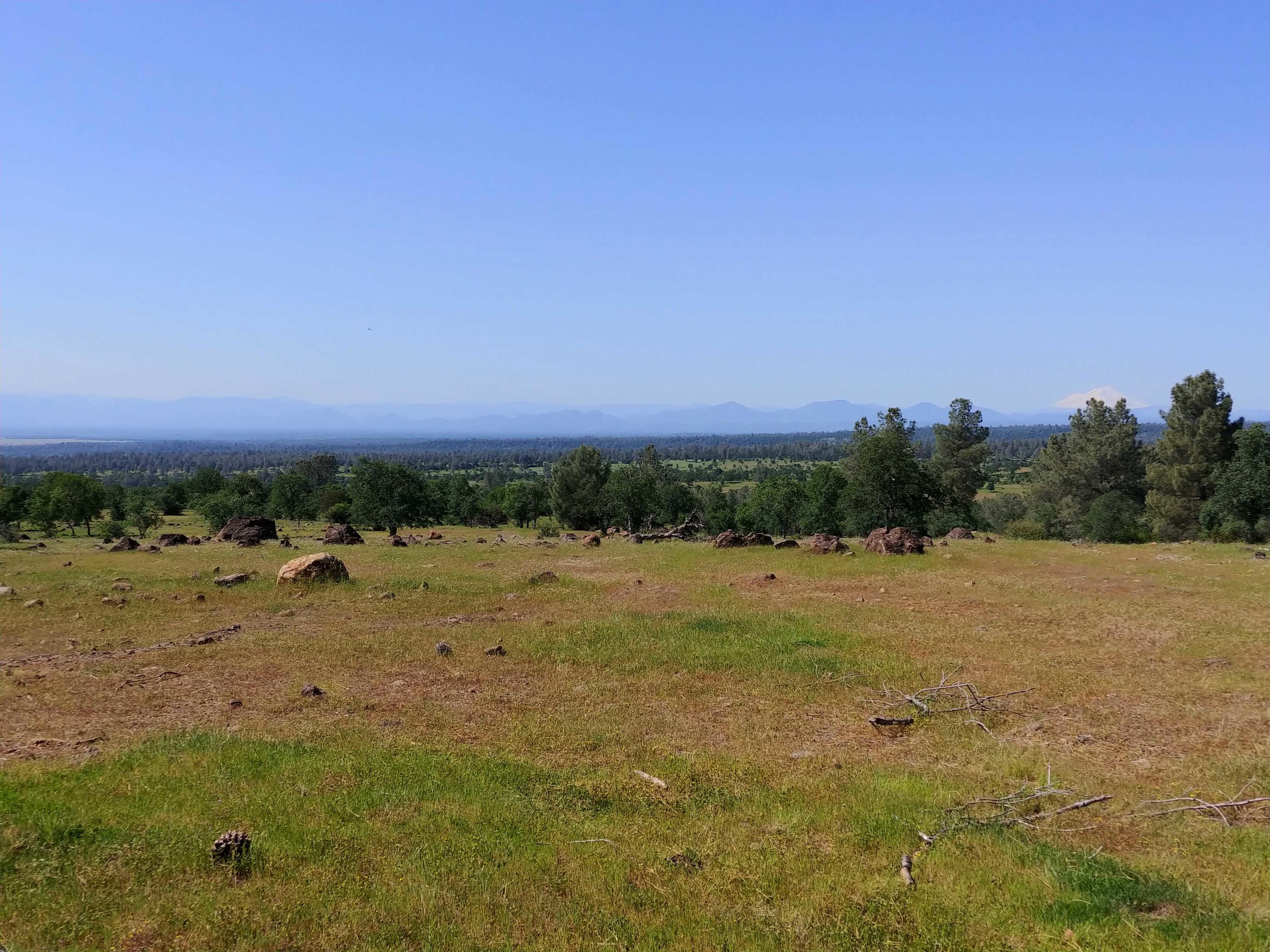 156-acres Wildcat Road Shingletown, CA 96088 - Photo 53 of 65 Valley and Mt Shasta view