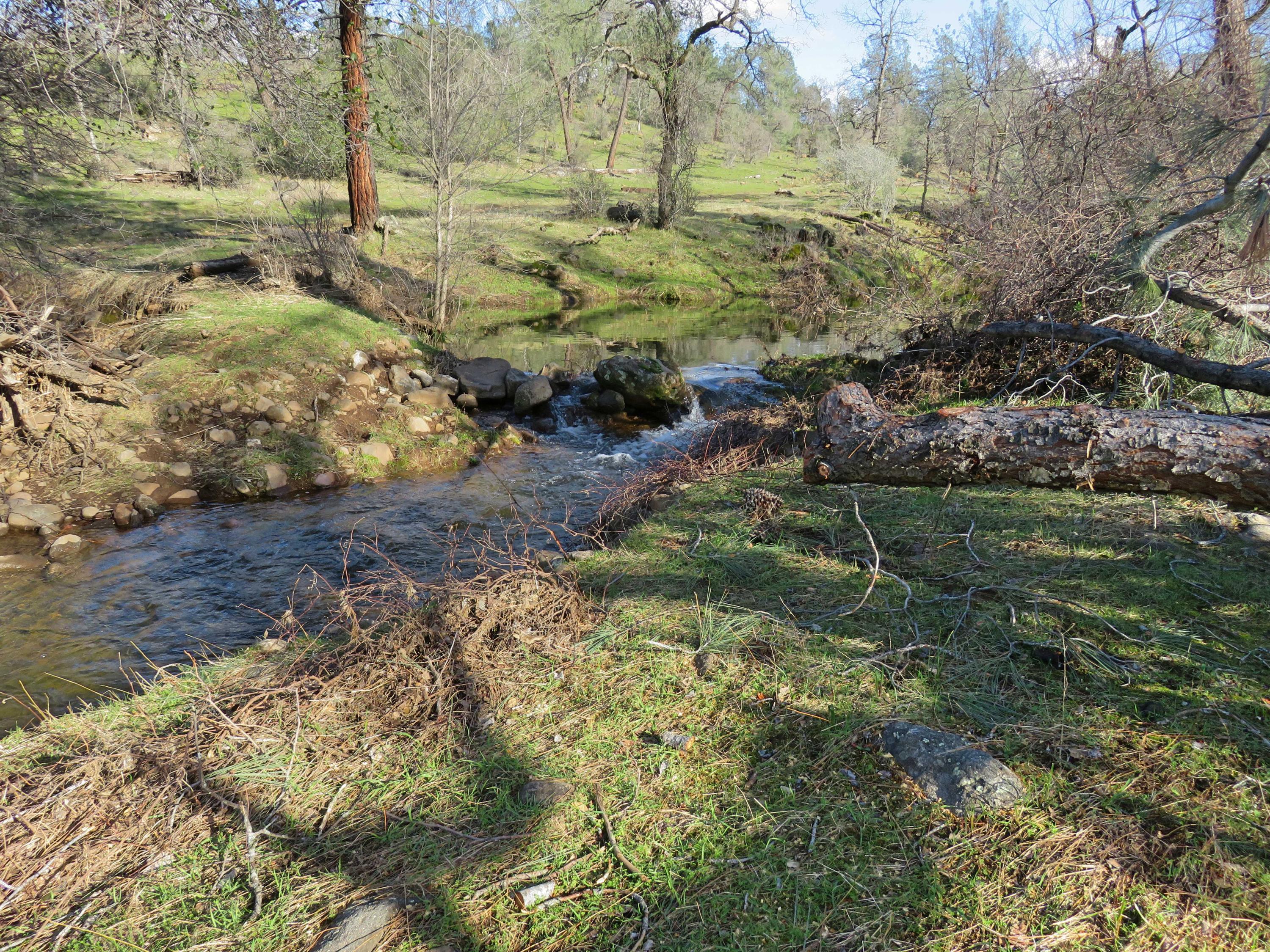 156-acres Wildcat Road Shingletown, CA 96088 - Photo 56 of 65 Small pond