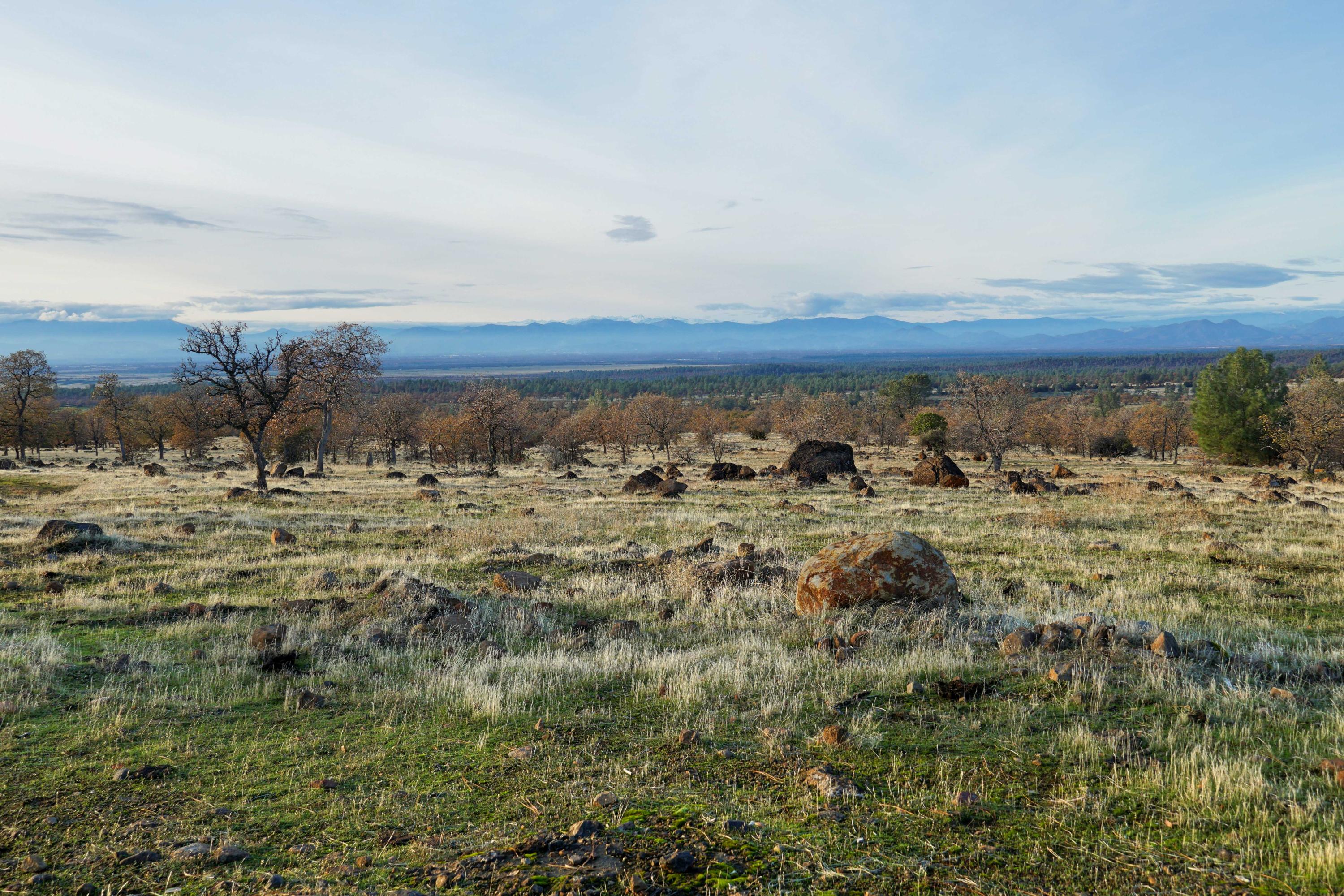 156-acres Wildcat Road Shingletown, CA 96088 - Photo 63 of 65 Valley view to west