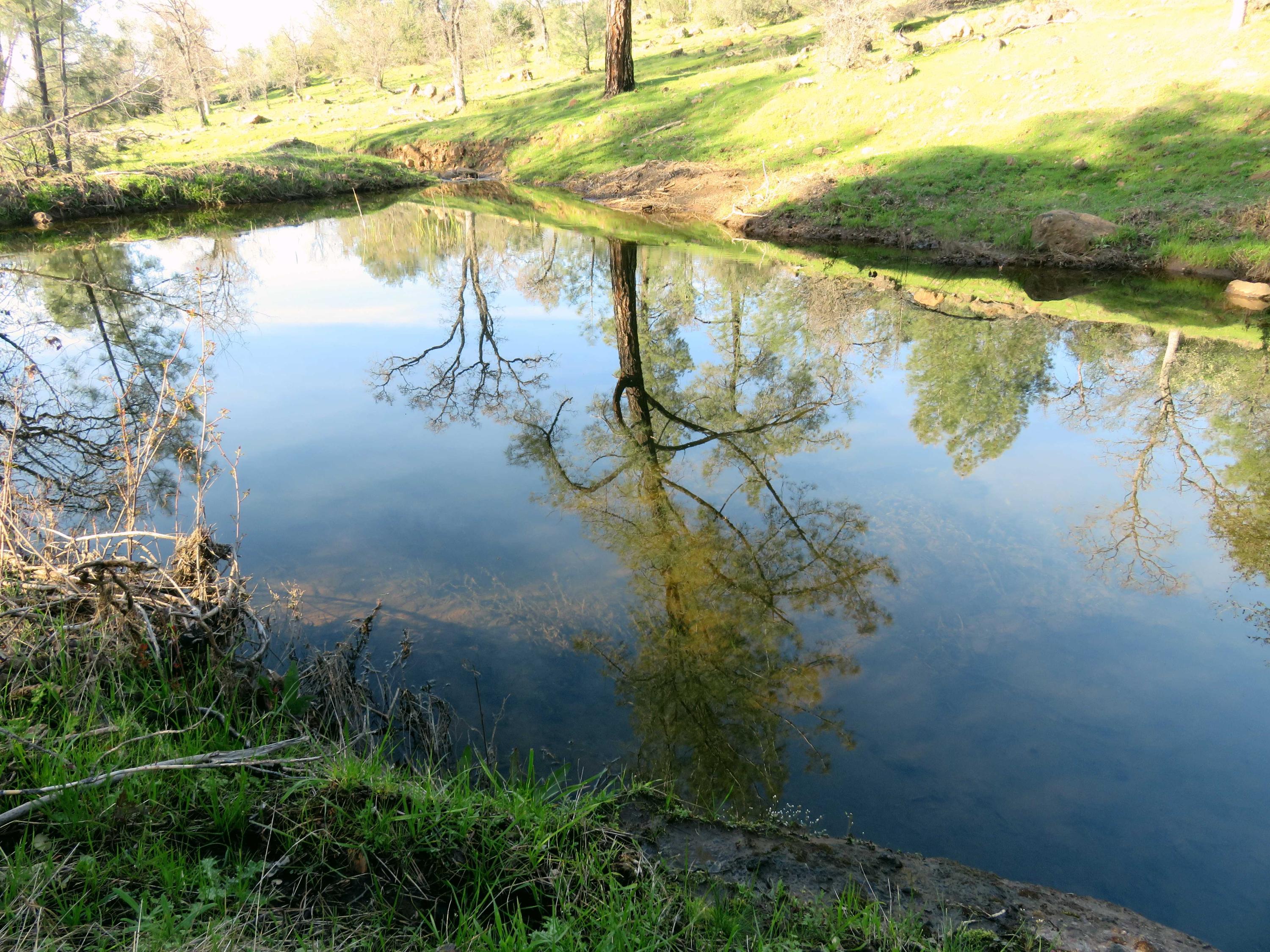 156-acres Wildcat Road Shingletown, CA 96088 - Photo 10 of 65 Pond 2