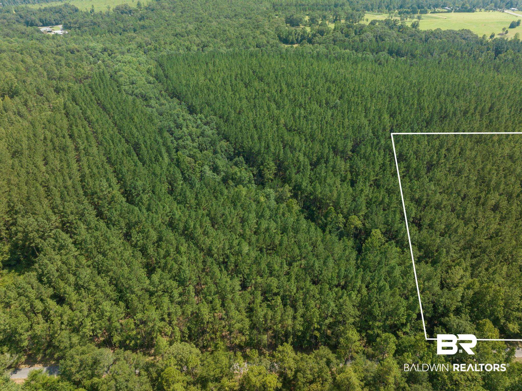 0 Old Hubbard Road Bay Minette, AL 36507 - Photo 3 of 7