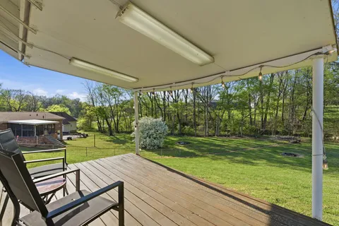 a view of a park with large trees