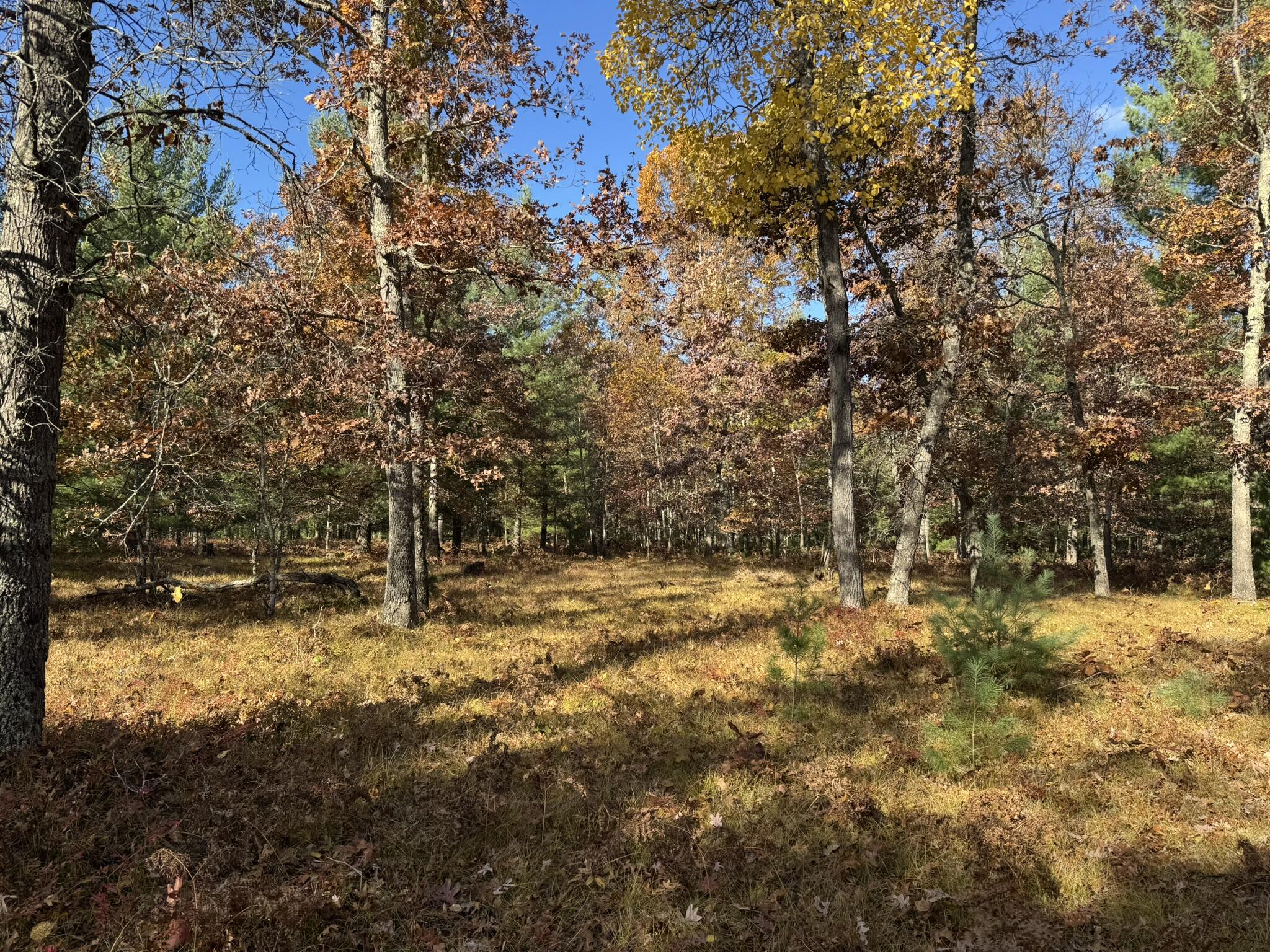 12 County Line Road Manistee, MI 49660 - Photo 3 of 4 IMG_1419