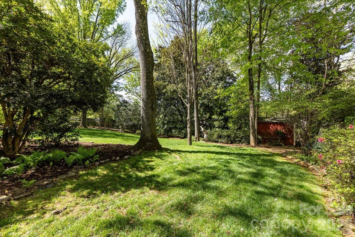 308 Robmont Road Charlotte, NC 28270 - Photo 42 of 43 a view of a park with a trees