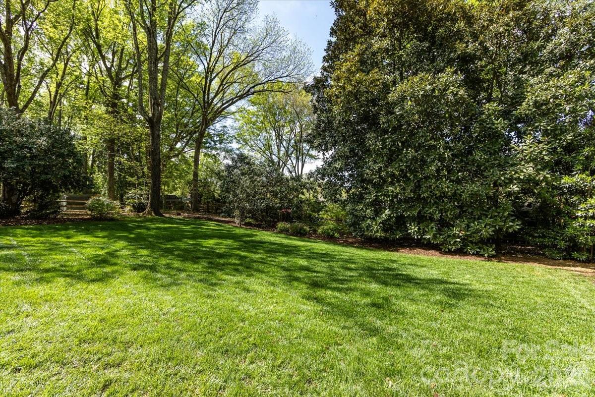 308 Robmont Road Charlotte, NC 28270 - Photo 43 of 43 a view of green field with trees in the background