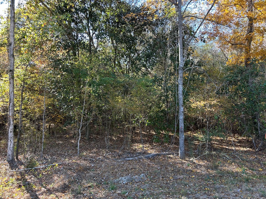 62/ Cty Road Coleman, GA 39836 - Photo 48 of 58