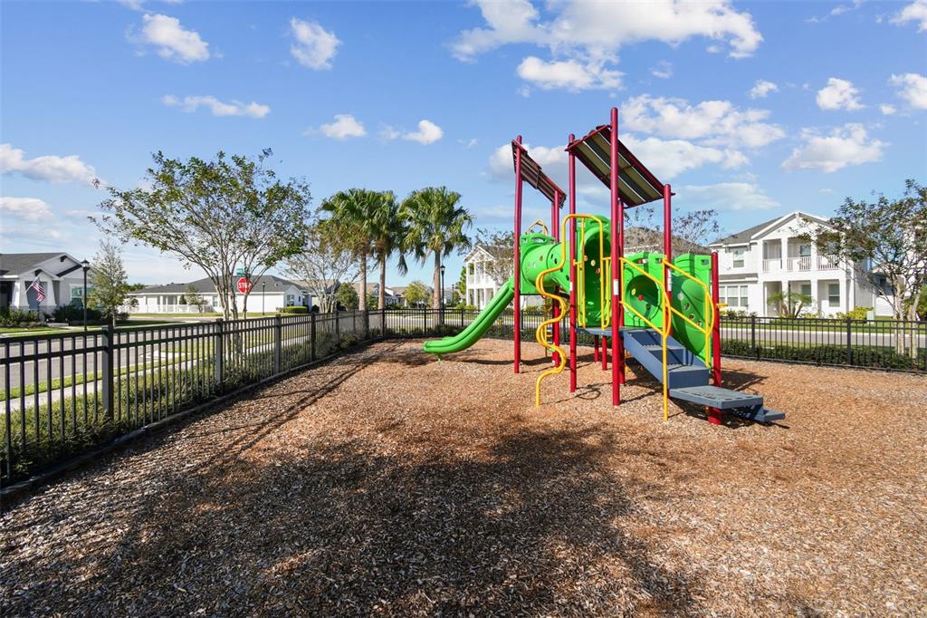 28748 Rambutan Drive Wesley Chapel, FL 33543 - Photo 34 of 37 a view of outdoor space with entertaining space