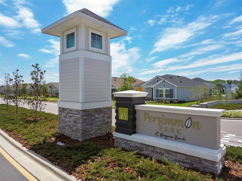 28748 Rambutan Drive Wesley Chapel, FL 33543 - Photo 37 of 37 a view of a house with a yard