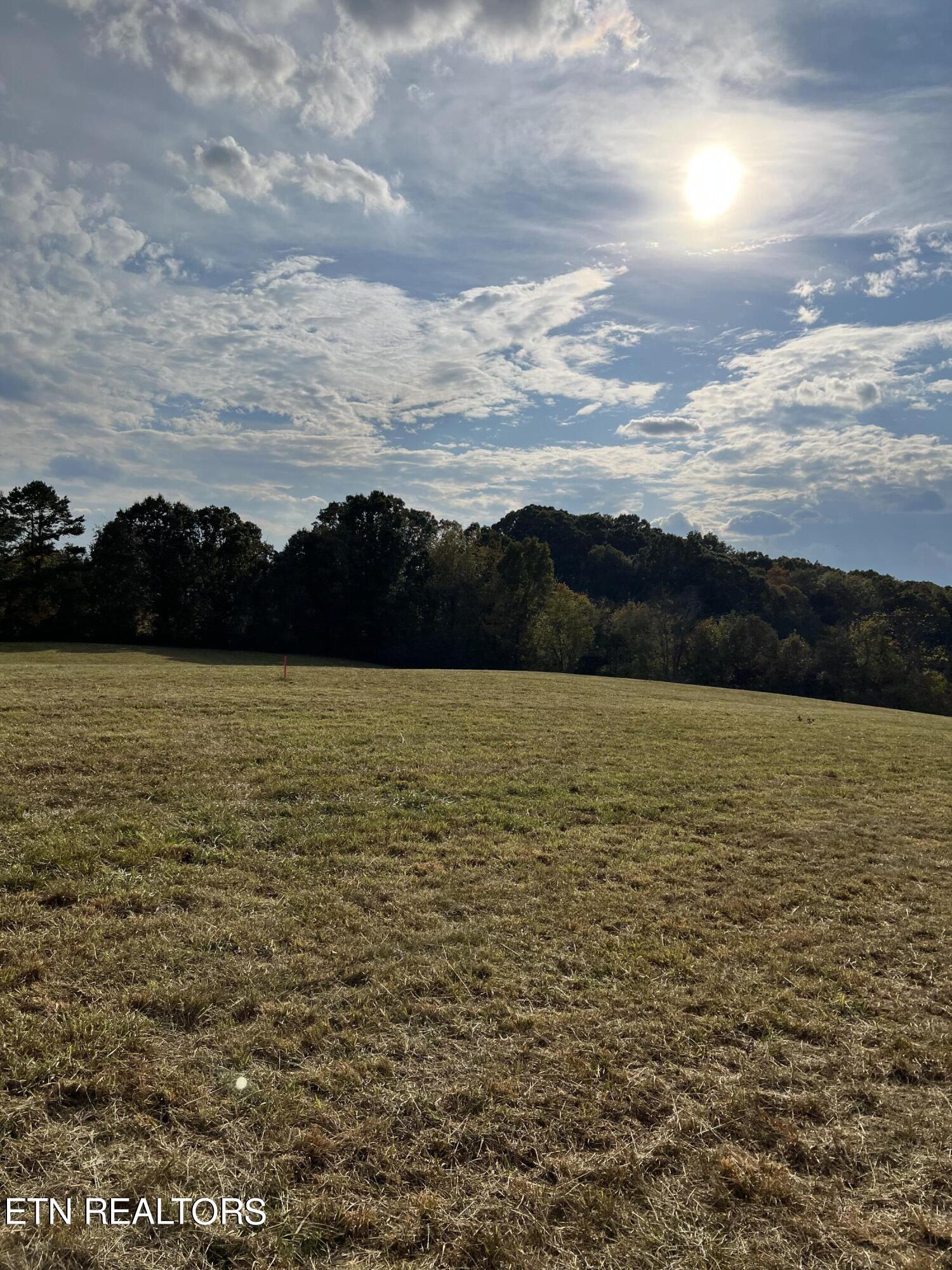 11400 Watkins Road East Loudon, TN 37774 - Photo 1 of 2 IMG-3536