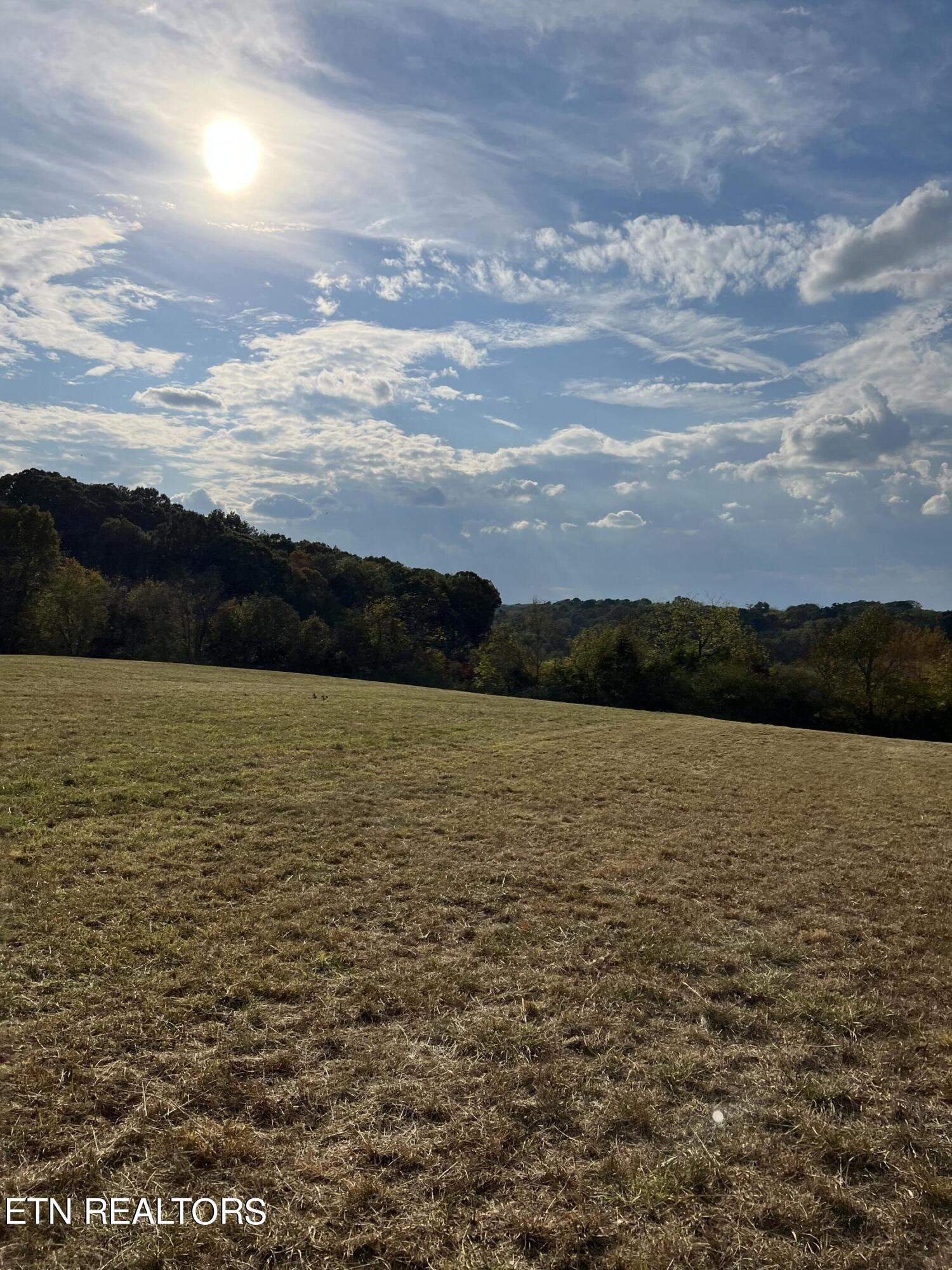 11400 Watkins Road East Loudon, TN 37774 - Photo 2 of 2 IMG-3537