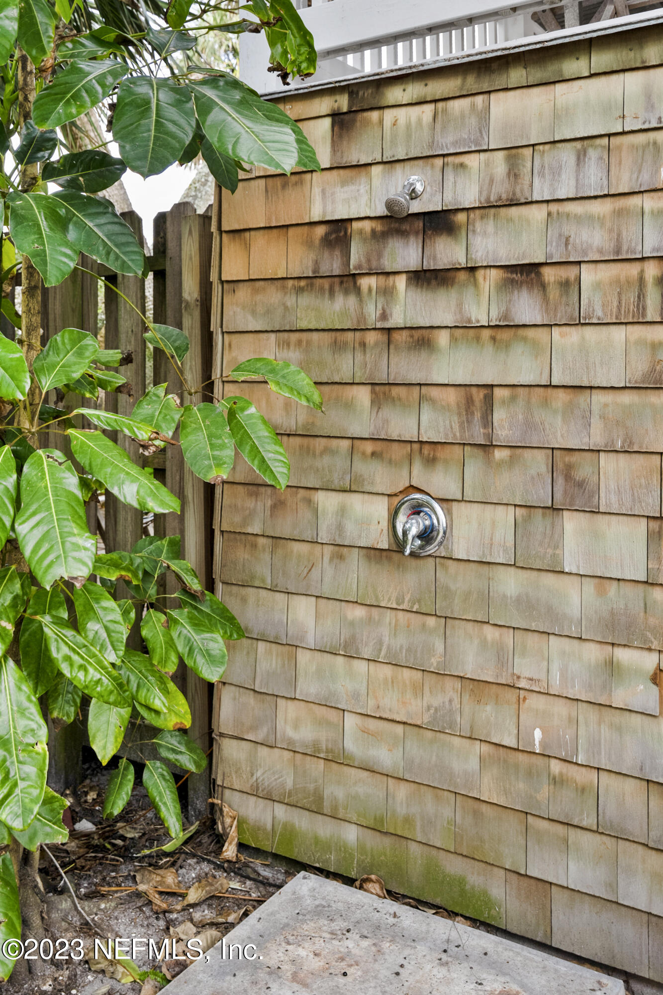 23 26th Avenue South, Unit LOWR Jacksonville Beach, FL 32250 - Photo 21 of 23 a bathroom with a shower