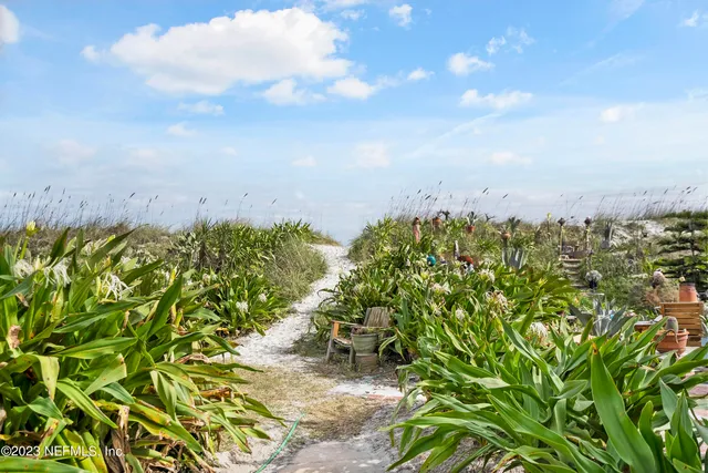 a view of a bunch of trees