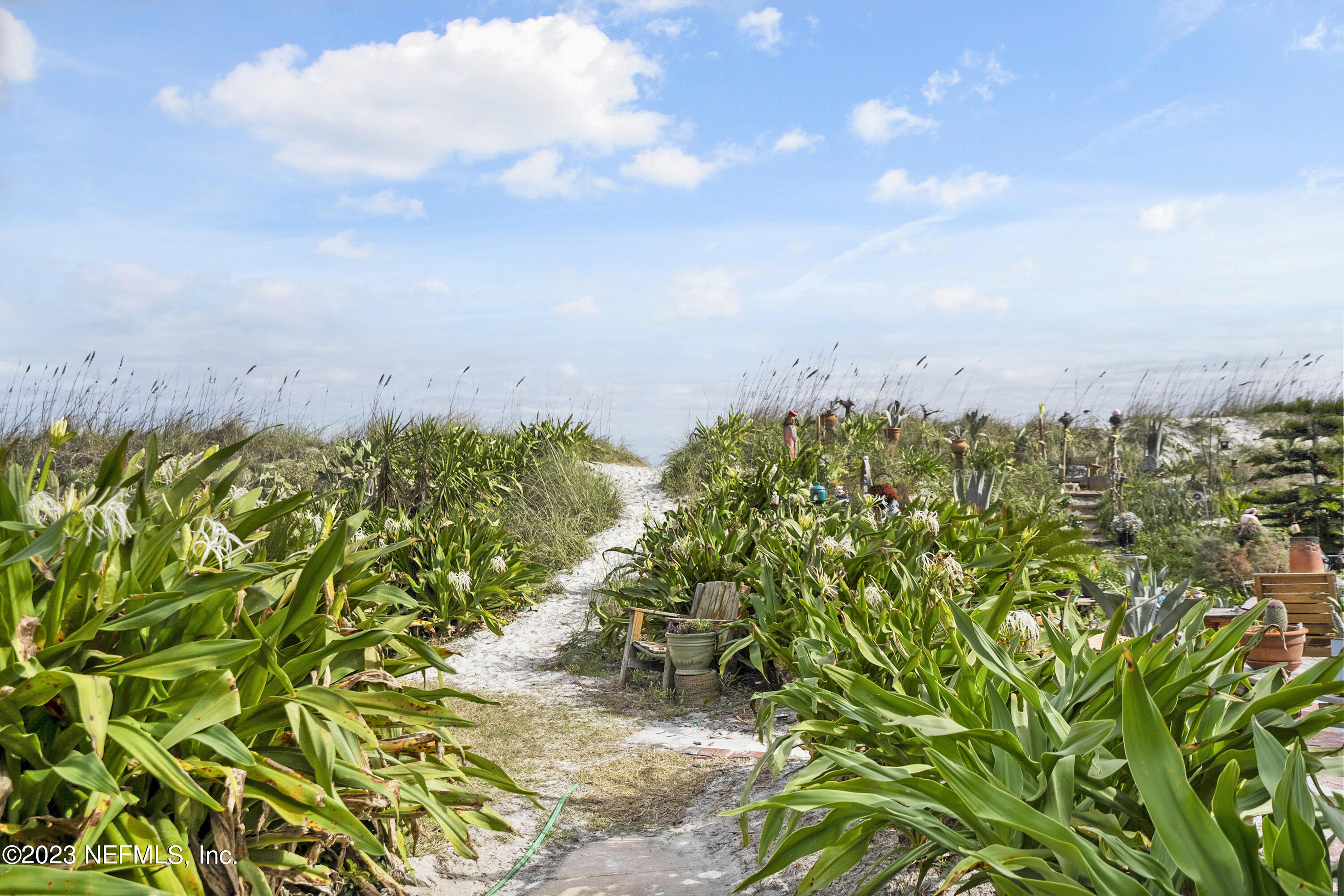 23 26th Avenue South, Unit LOWR Jacksonville Beach, FL 32250 - Photo 3 of 23 a view of a bunch of trees