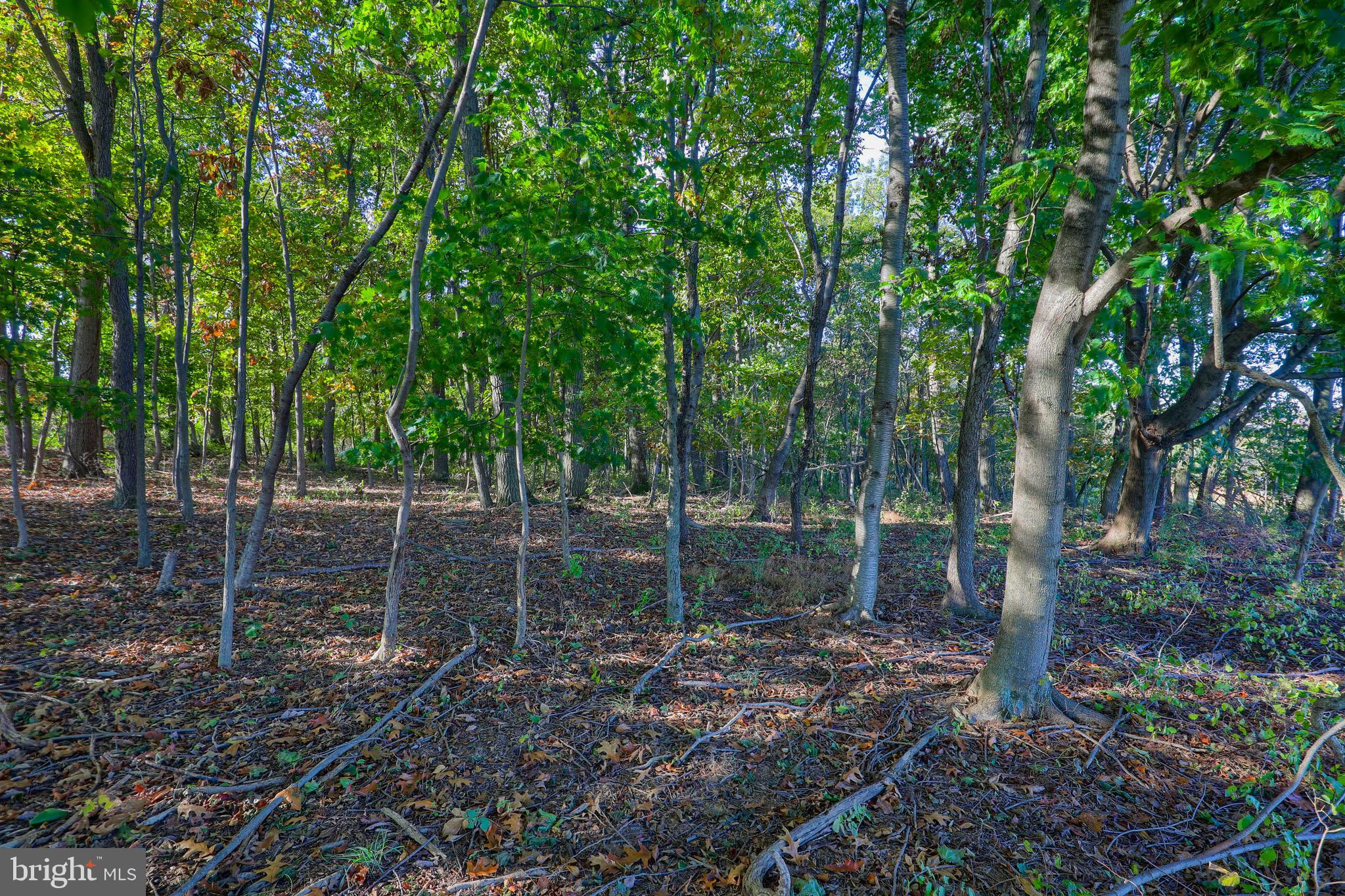 Lot 4 Ridgeview Road Seven Valleys, PA 17360 - Photo 4 of 9