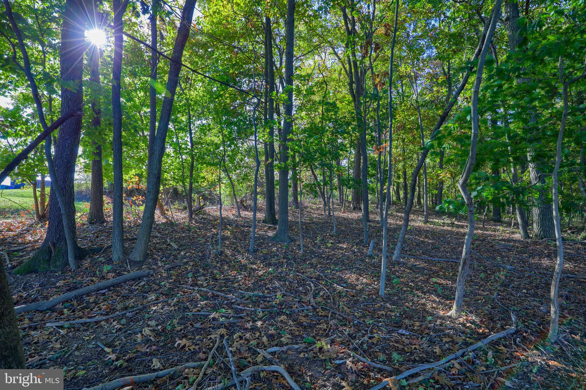 Lot 4 Ridgeview Road Seven Valleys, PA 17360 - Photo 5 of 9