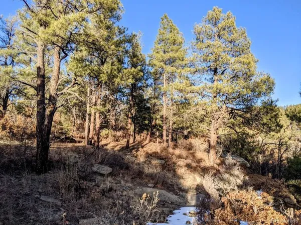 $59,900 | Rancho Lane, Weston, CO 81091