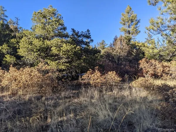 $59,900 | Rancho Lane, Weston, CO 81091