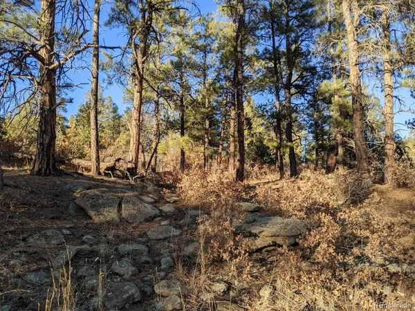$59,900 | Rancho Lane, Weston, CO 81091