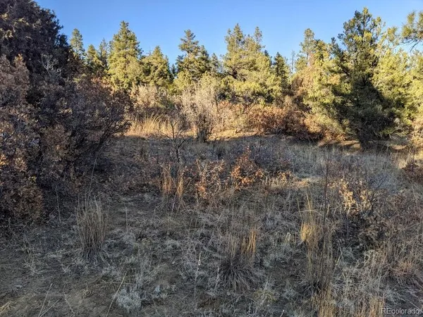 $59,900 | Rancho Lane, Weston, CO 81091