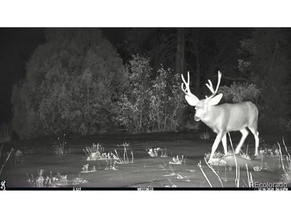 $59,900 | Rancho Lane, Weston, CO 81091