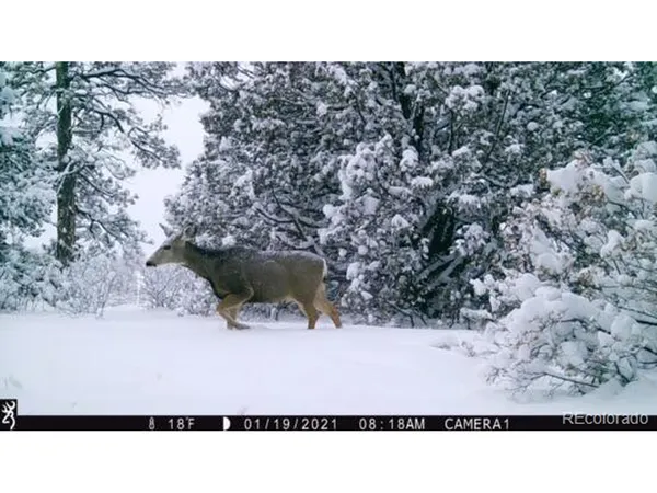 $59,900 | Rancho Lane, Weston, CO 81091