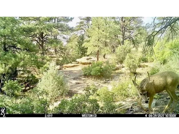 $59,900 | Rancho Lane, Weston, CO 81091