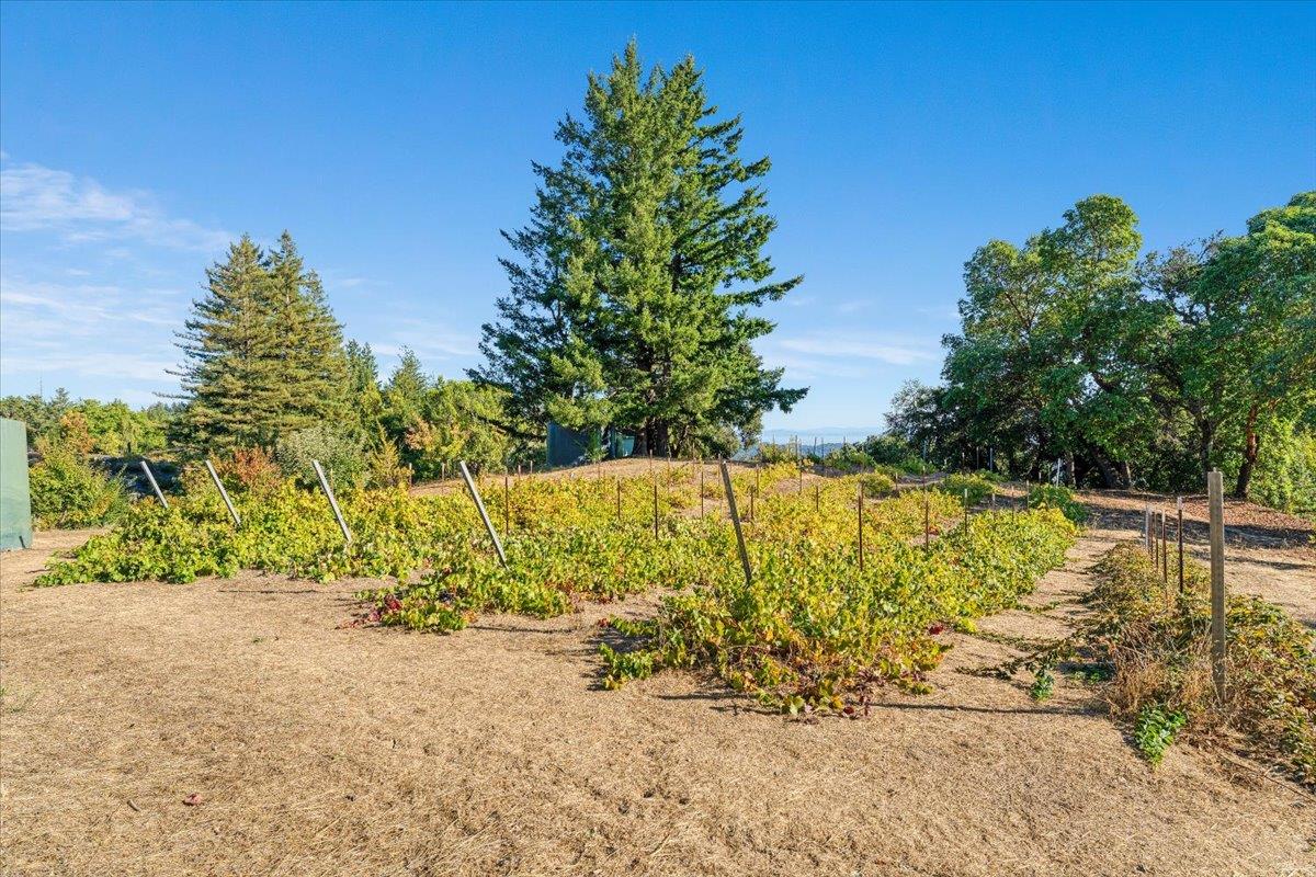 24854 Skyland Road Los Gatos, CA 95033 - Photo 3 of 80