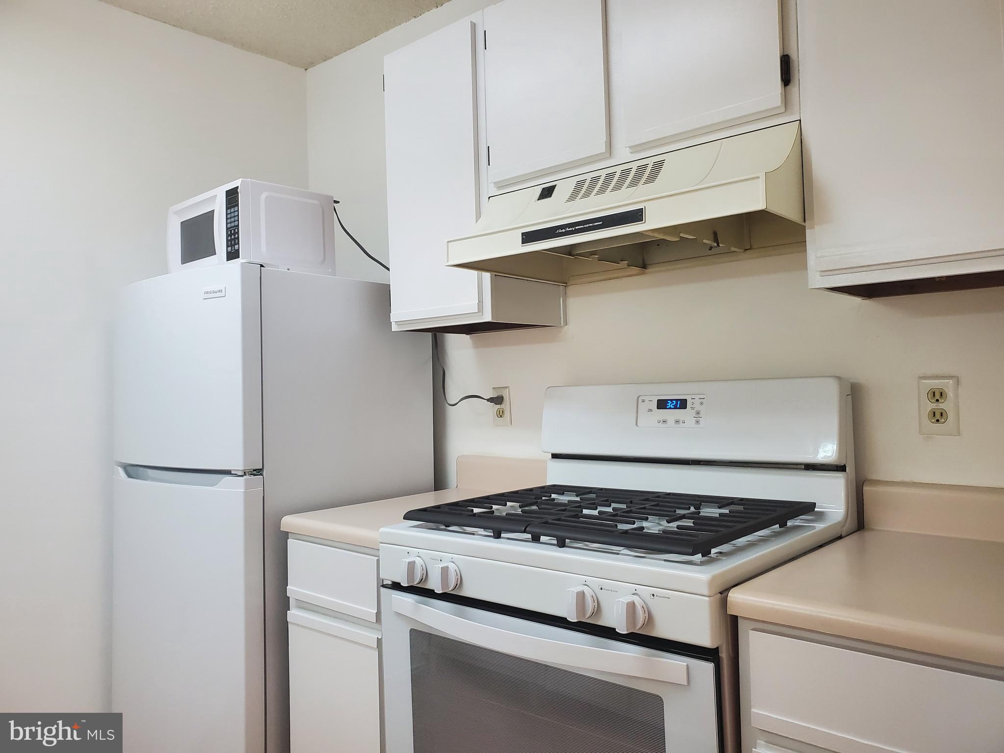 21001 Timber Ridge Terrace, Unit 204 Ashburn, VA 20147 - Photo 9 of 30 Gallery Image 9