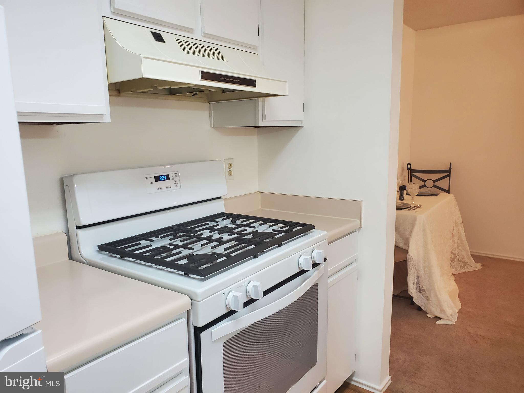 21001 Timber Ridge Terrace, Unit 204 Ashburn, VA 20147 - Photo 10 of 30 Gallery Image 10