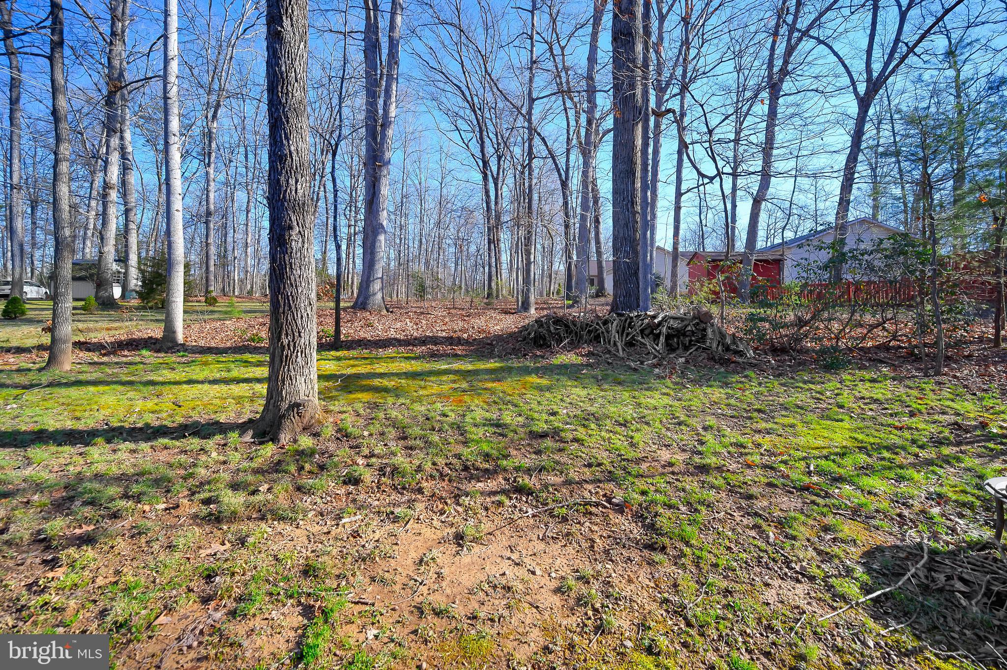 102 Happy Creek Road Locust Grove, VA 22508 - Photo 18 of 30 Amazing private level yard