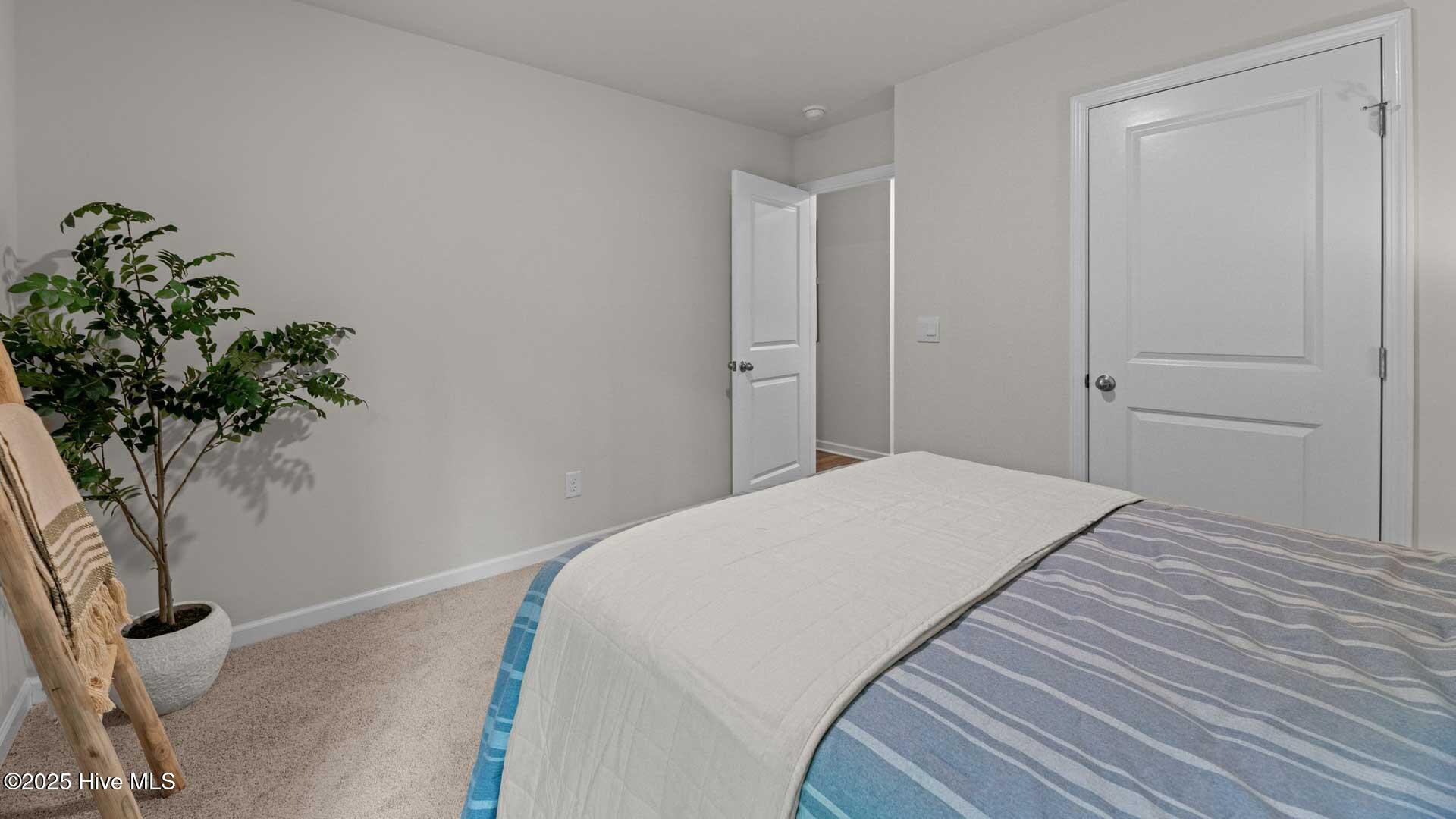 7336 Michelle Road Rocky Mount, NC 27803 - Photo 11 of 33 7273 Michelle Road